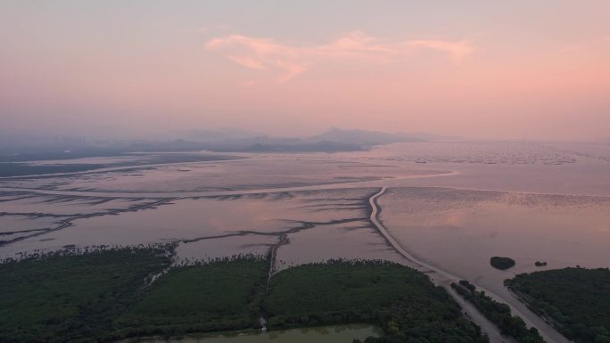 深圳红树林湿地公园