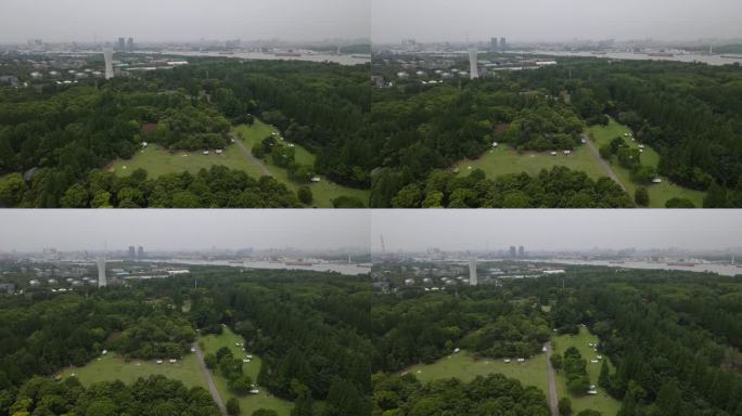 上海滨江森林公园4K原素材