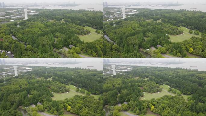 上海滨江森林公园4K原素材