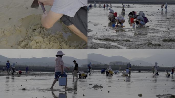 广东深圳大鹏半岛教场尾沙滩赶海