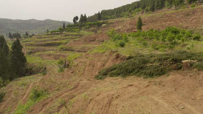 航拍挖土机山地作业改良耕地丨HLG原素材