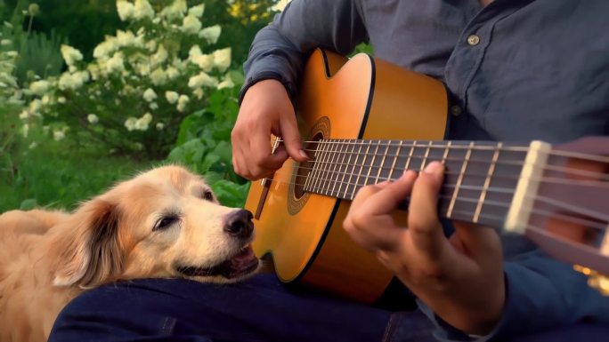 给狗狗弹吉他