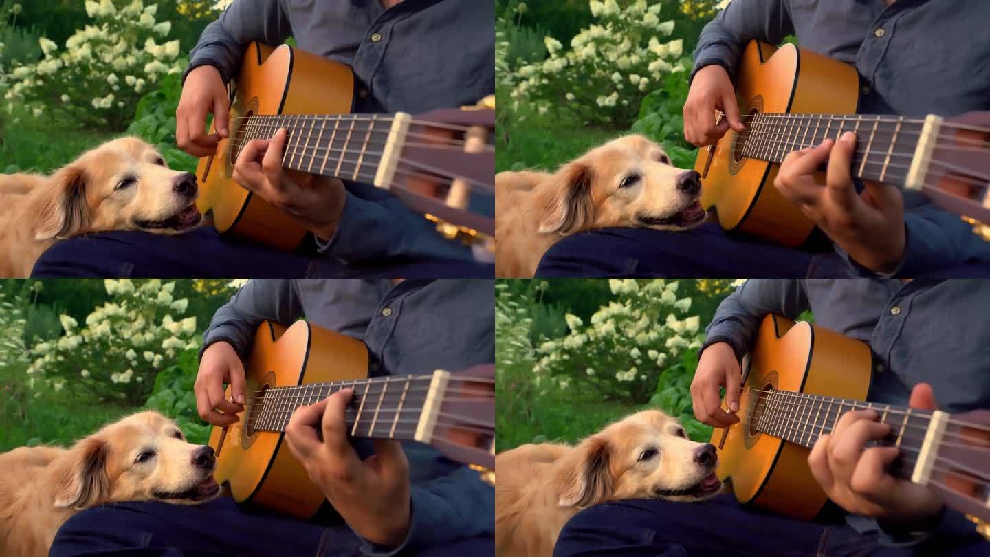给狗狗弹吉他