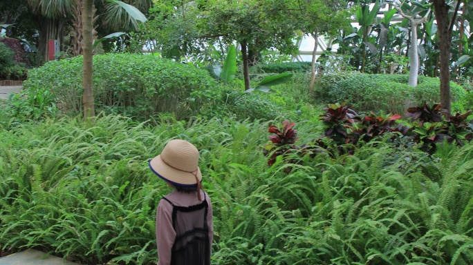在热带植物园游玩的小女孩