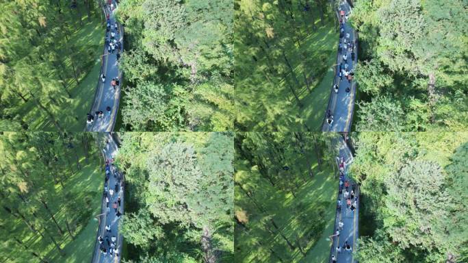 杭州临安青山湖航拍4K