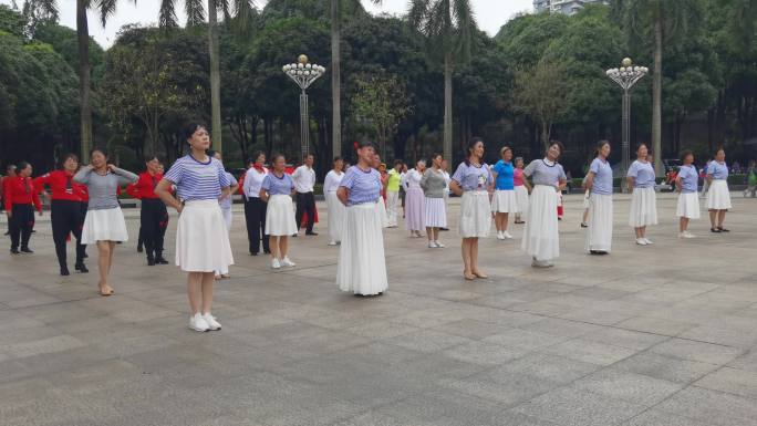 广场舞 民族舞 市民休闲舞蹈 怀旧舞