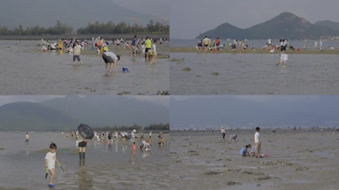 广东深圳大鹏半岛教场尾沙滩赶海