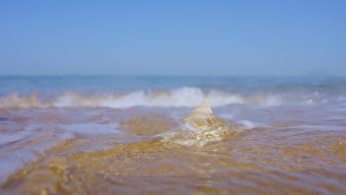 海滩海边海螺沙滩浪花冲刷海螺听海