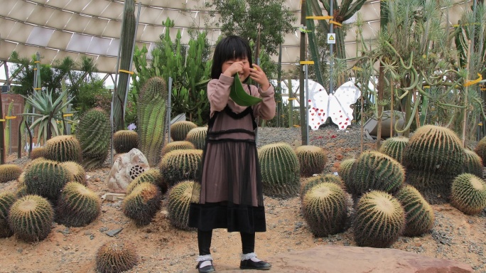 在热带植物园游玩的小女孩