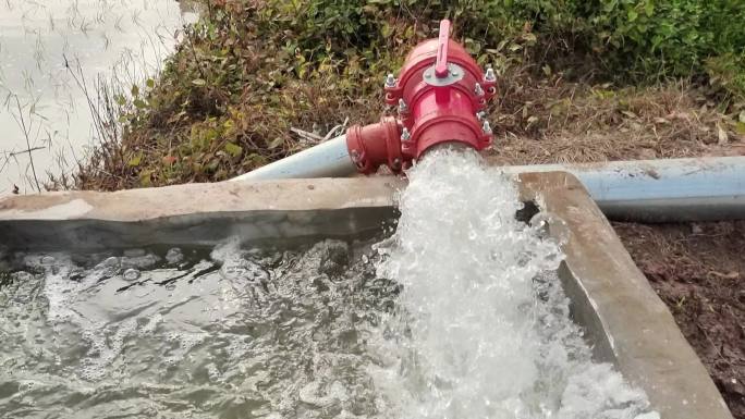 水管出水道口流水口灌溉浇水旱灾稻田水灌溉