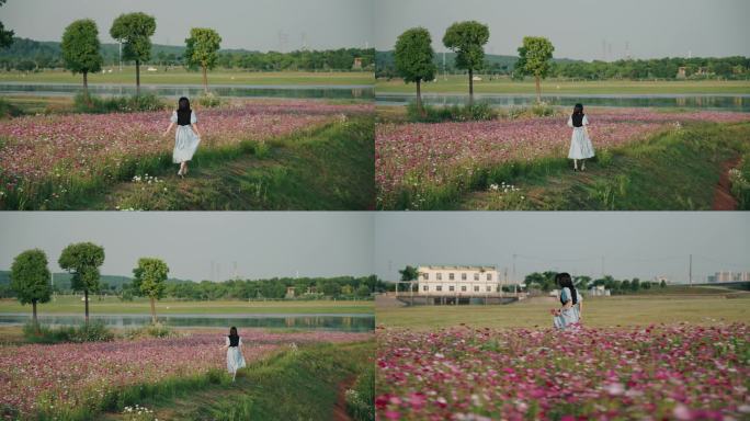 女生在波斯菊花海花丛里奔跑治愈系风景