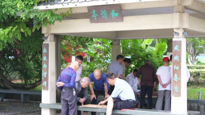 公园亭子老人下象棋娱乐实拍原素材