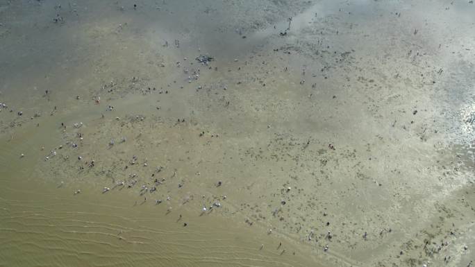 广东深圳大鹏半岛教场尾沙滩赶海航拍