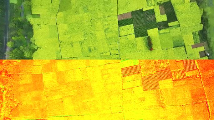 农业多光谱无人机监测农作物长势