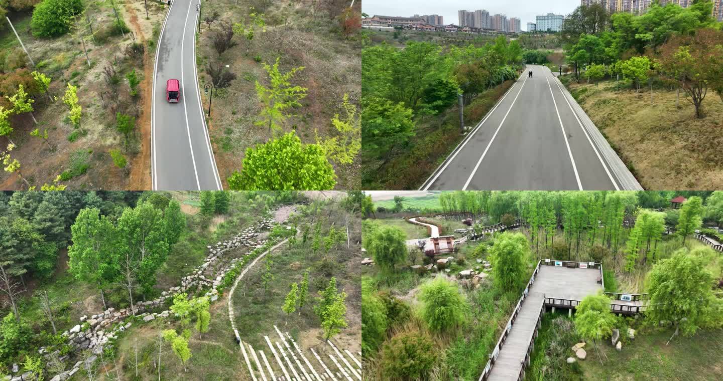 威宁草海北坡生态公园绿树道路