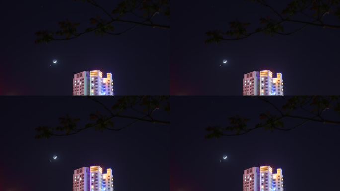 城市夜空金星和月亮