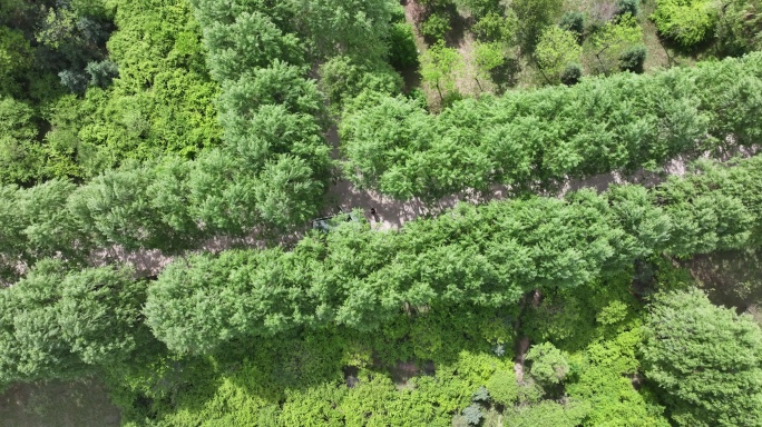 大地湾湿地公园 乐都区 航拍 生态环境