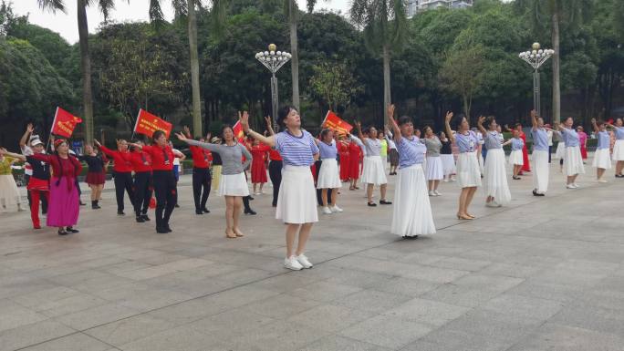 广场舞 民族舞 市民休闲舞蹈 怀旧舞