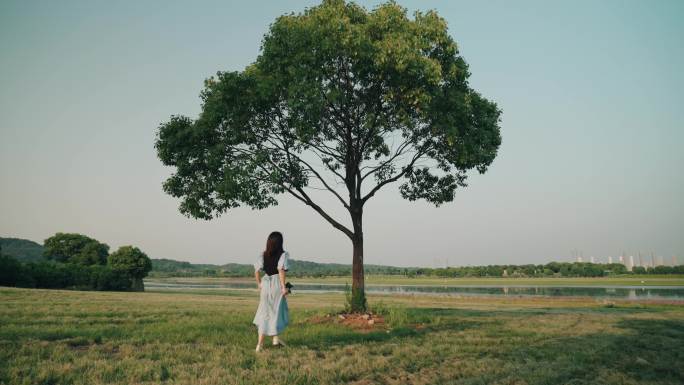 女生向湖边的一颗树奔跑治愈系风景