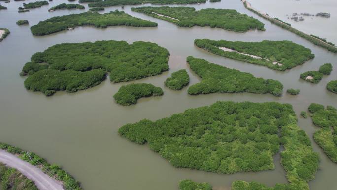 湛江金牛岛