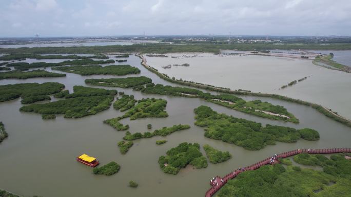 湛江金牛岛