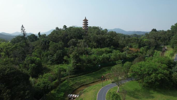 深圳南山区西丽湖（环西丽湖碧道）航拍