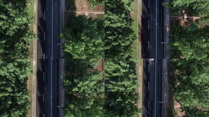 加速俯拍森林下绿色公路