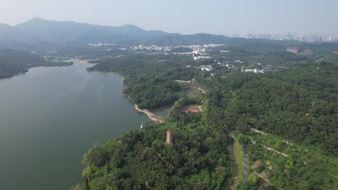 深圳南山区西丽湖（环西丽湖碧道）航拍