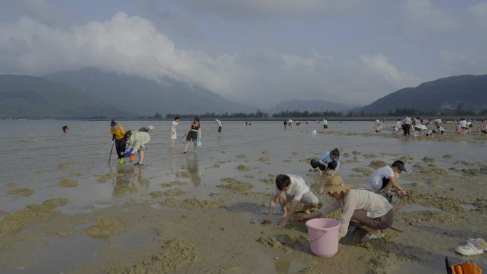 广东深圳大鹏半岛教场尾沙滩赶海