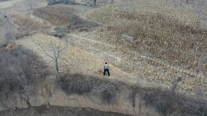 航拍手握镢头刨地种地的男人