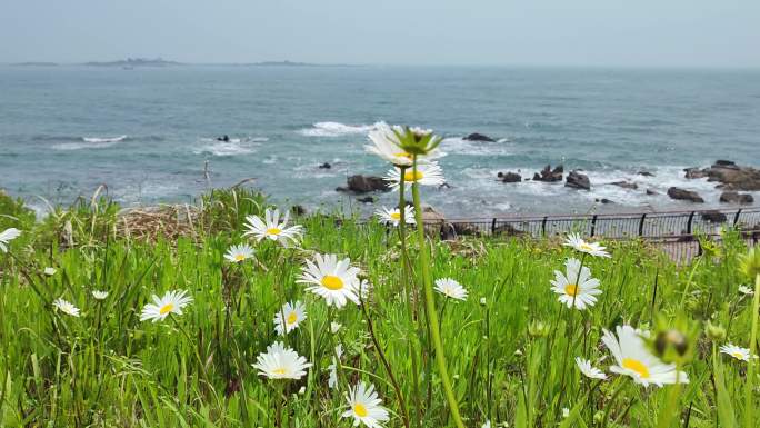 面朝大海，春暖花开