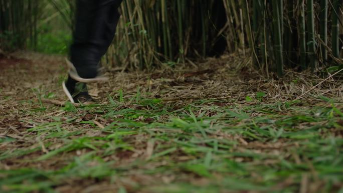 刺客黑衣人在竹林里奔跑