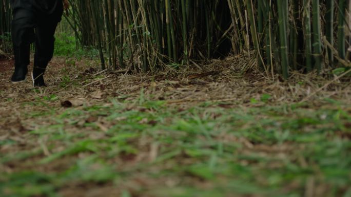 竹林刺客黑衣人在竹林里快速奔跑