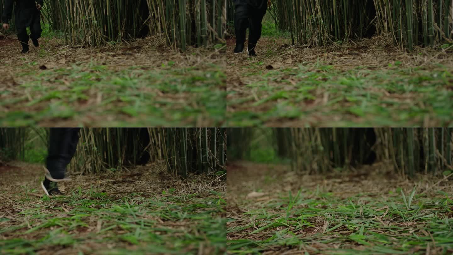 竹林刺客黑衣人在竹林里快速奔跑