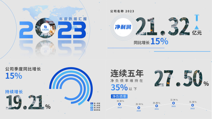 年会数据报告 企业年报工作汇报