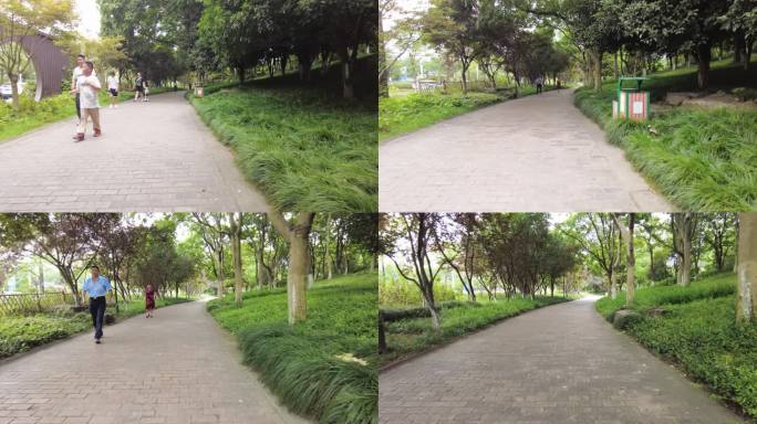 城市公园树林草木小道路
