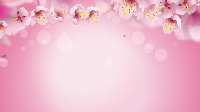 粉红柔美花朵粒子背景