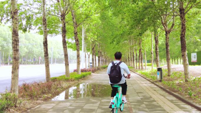少年吹着风骑共享单车驶过雨后的树林街道