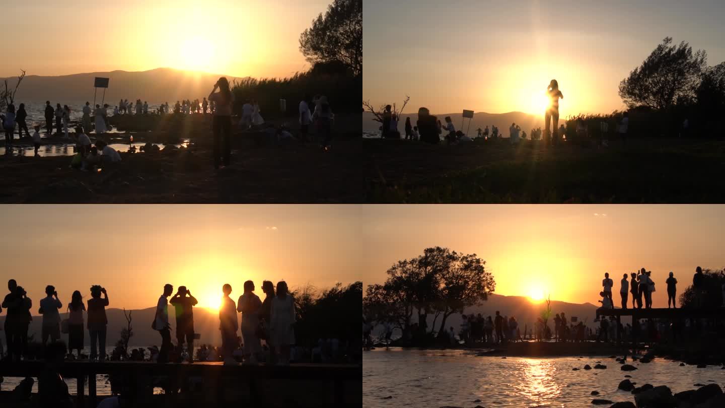 滇池王官湿地观日落的游客