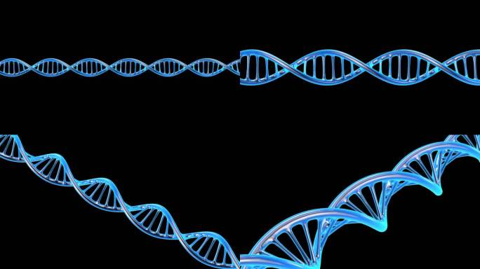 DNA基因分子透明背景AE工程