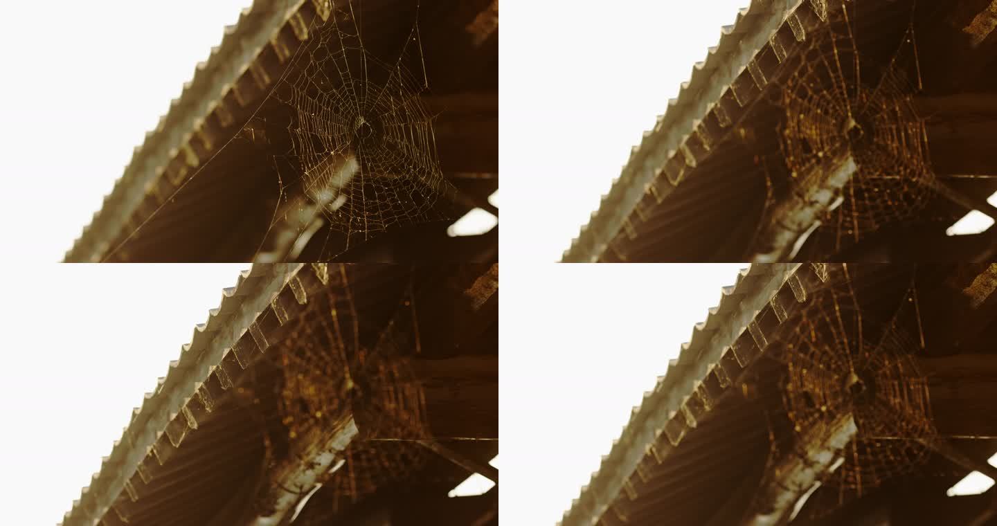 古建筑悬挂的蜘蛛网