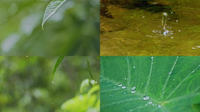 雨水绿叶滴水水滴落水面