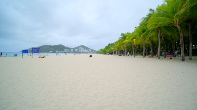 椰树沙滩 海边 海滩