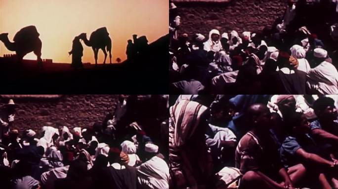50年代中东阿拉伯骆驼商队