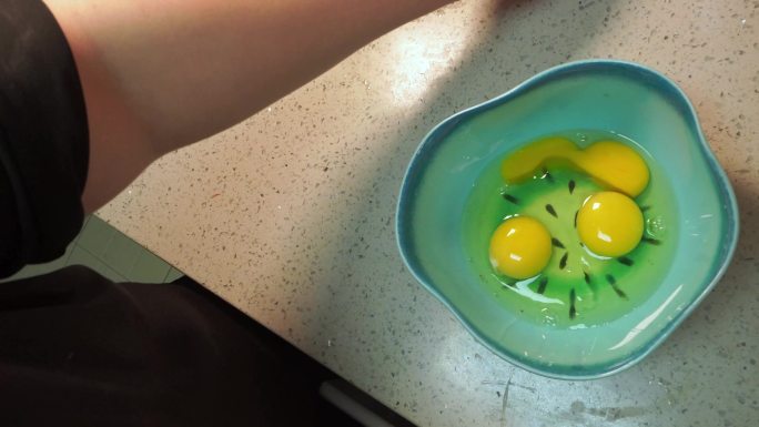 做菜摊鸡蛋炒鸡蛋 (1)