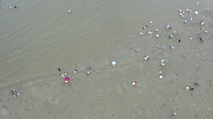 广东深圳大鹏半岛教场尾沙滩赶海 航拍