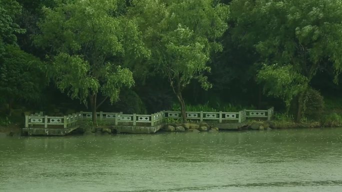 l1生态区细雨