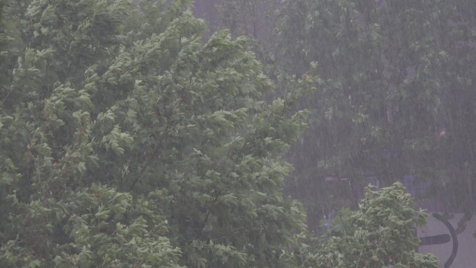 暴风骤雨狂风暴雨