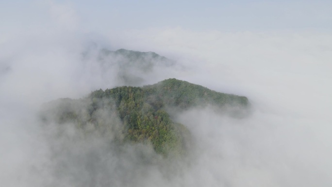 东北 森林 云海 高山  航拍  延时