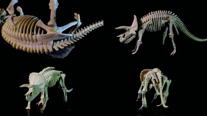 模拟恐龙化石出土实拍视频